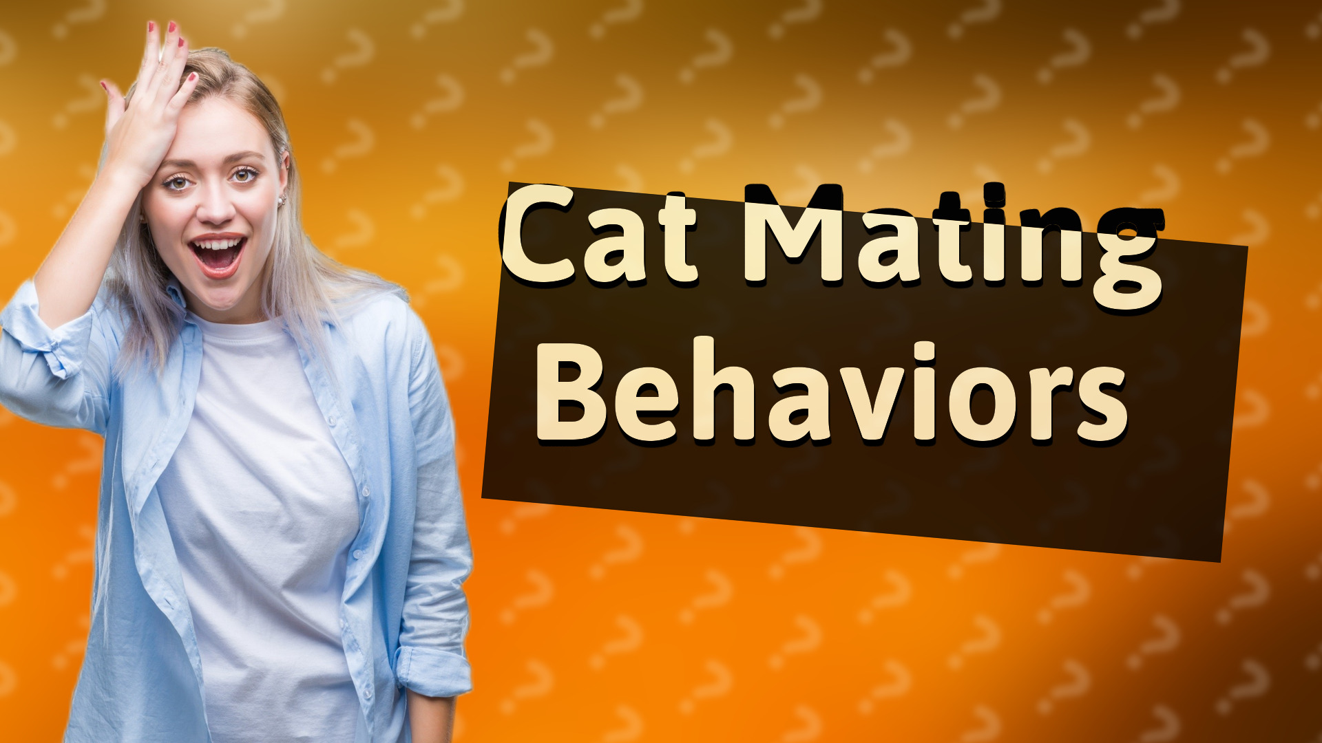 Cat Mating Behaviors
