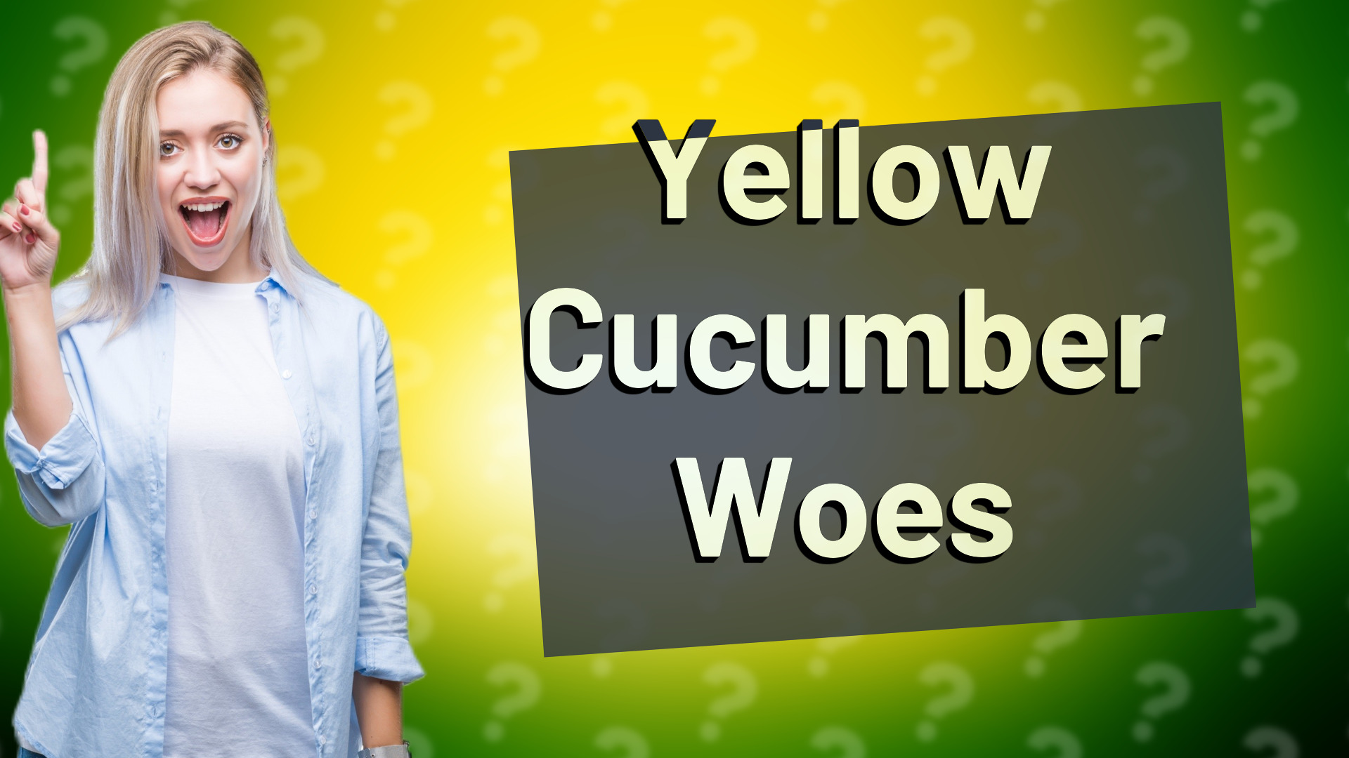 Yellow Cucumber Woes