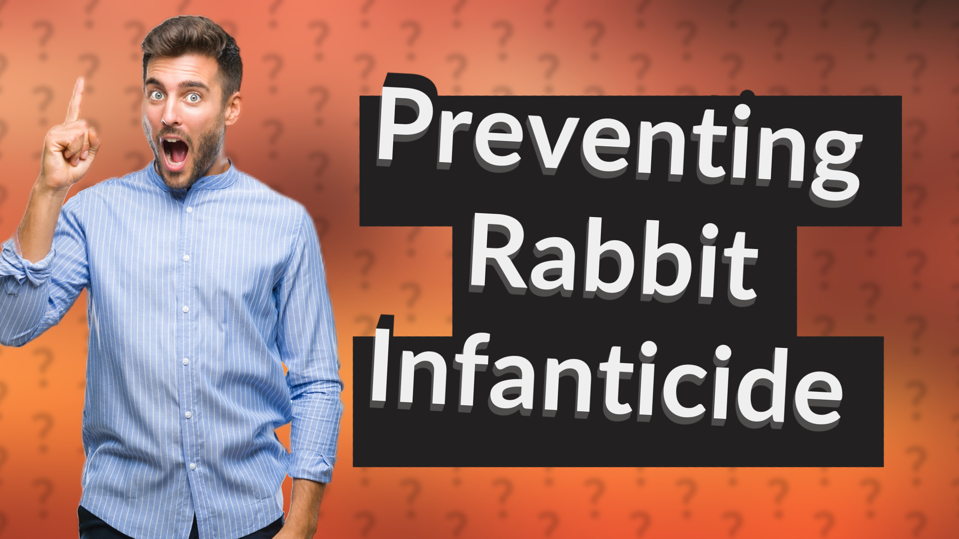 Preventing Rabbit Infanticide
