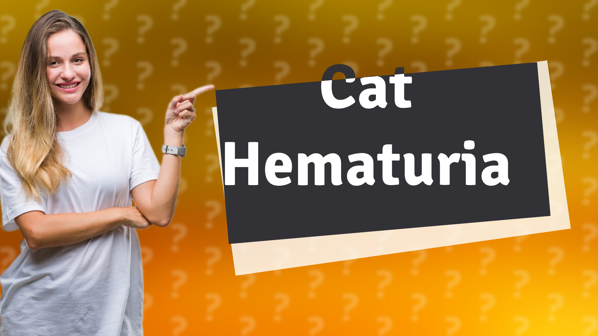 Cat Hematuria