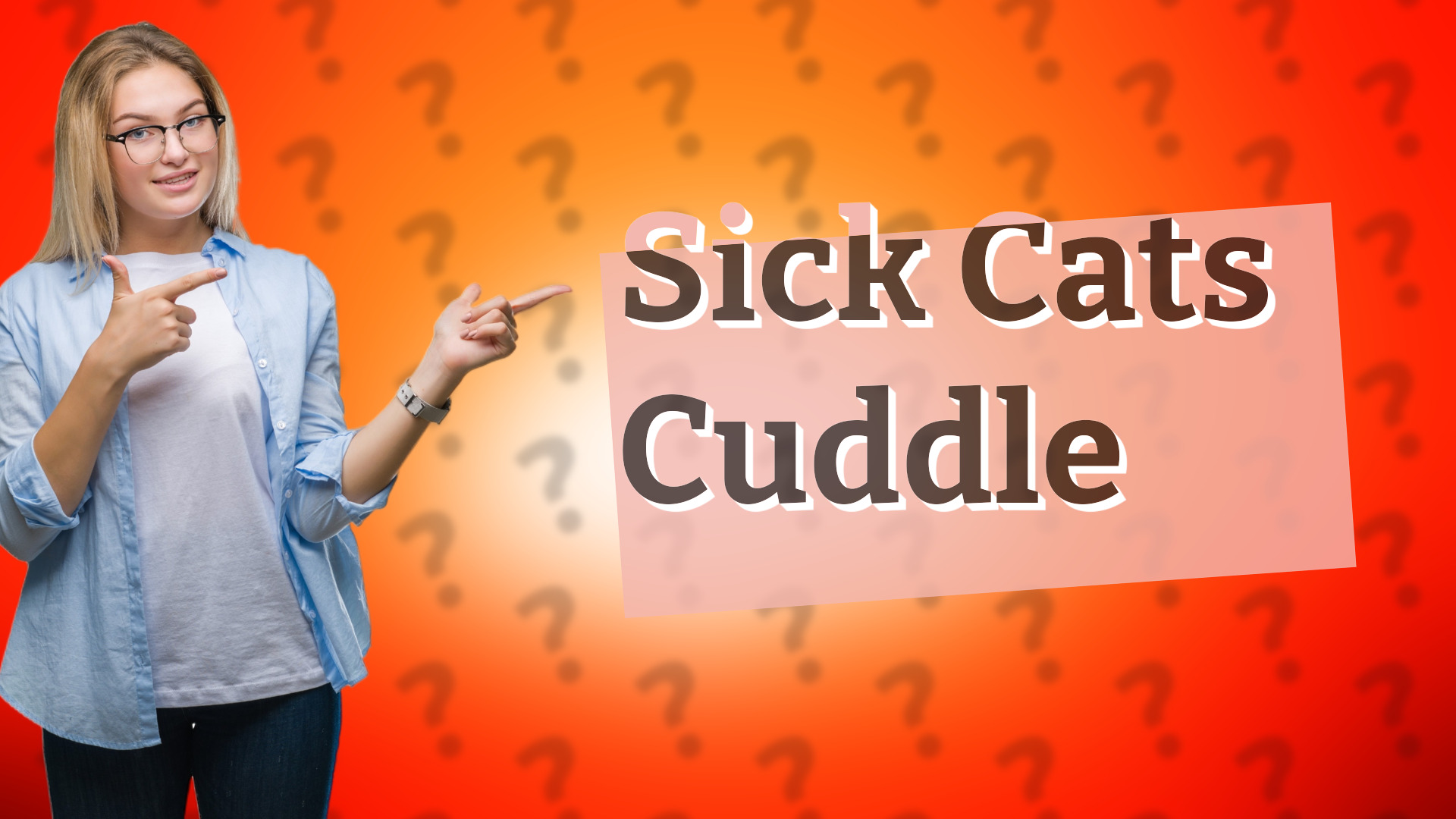 Sick Cats Cuddle
