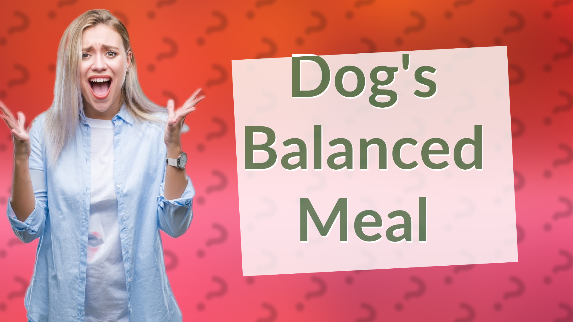 Dog's Balanced Meal