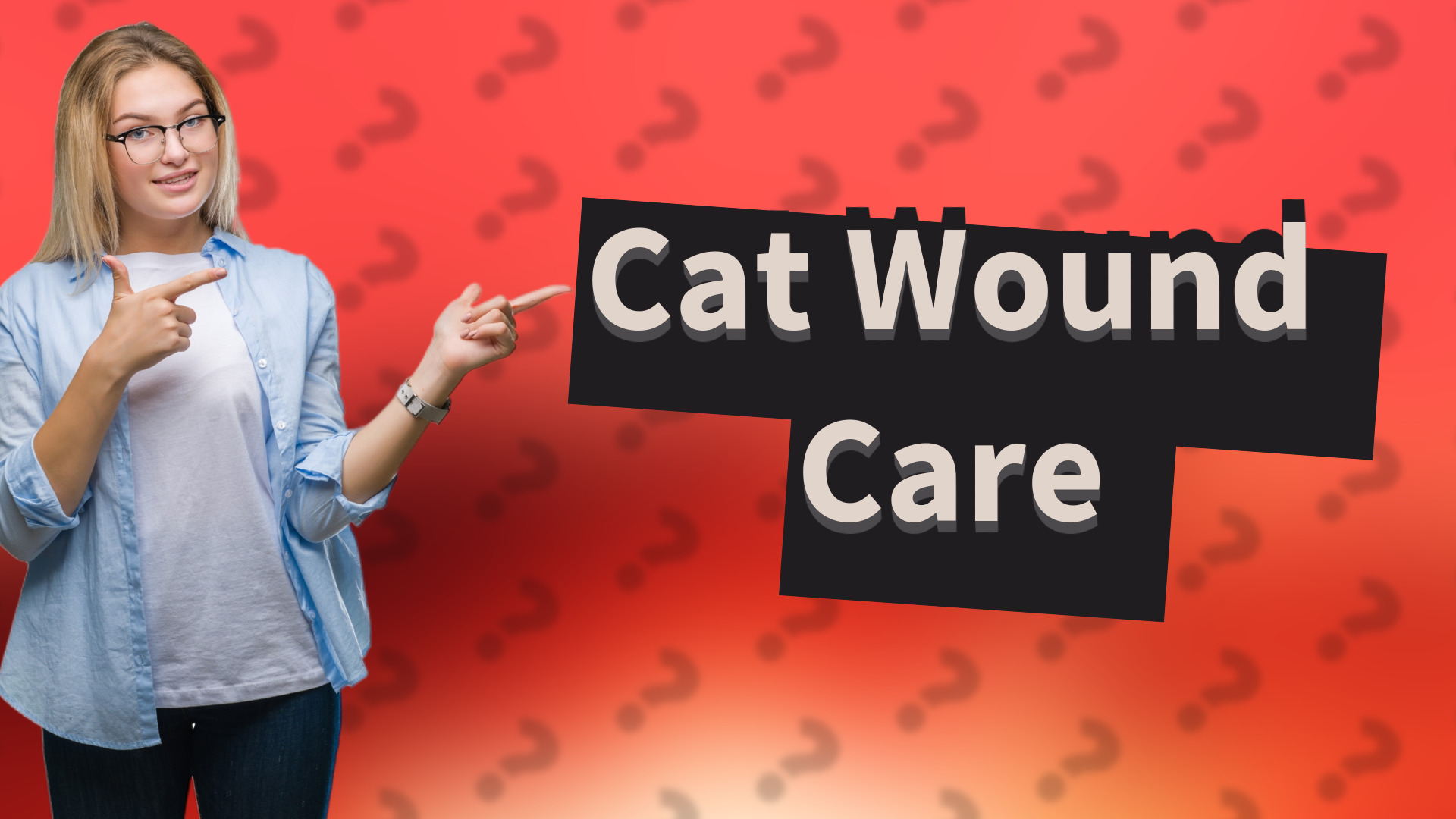 Cat Wound Care