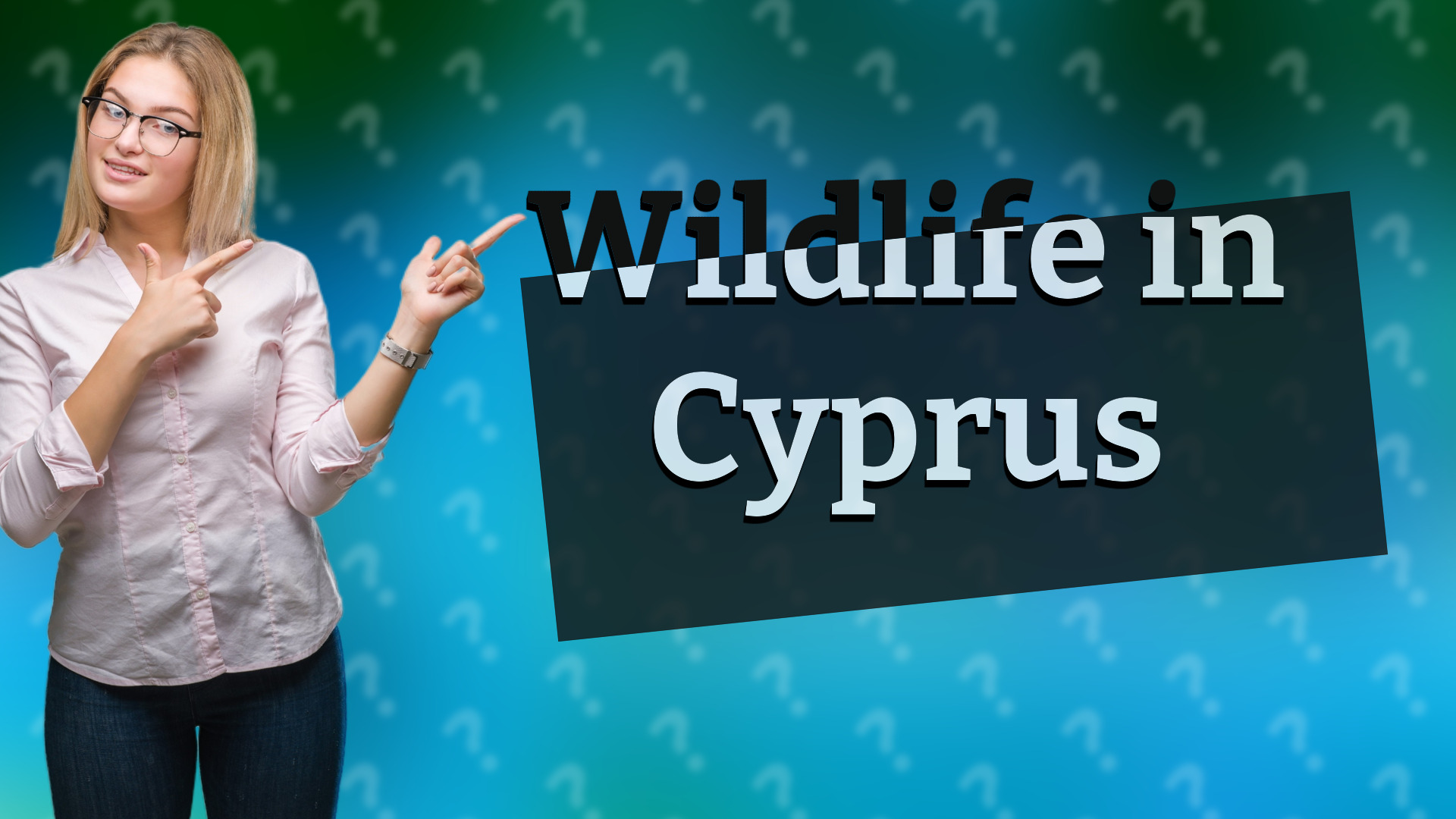 Wildlife in Cyprus