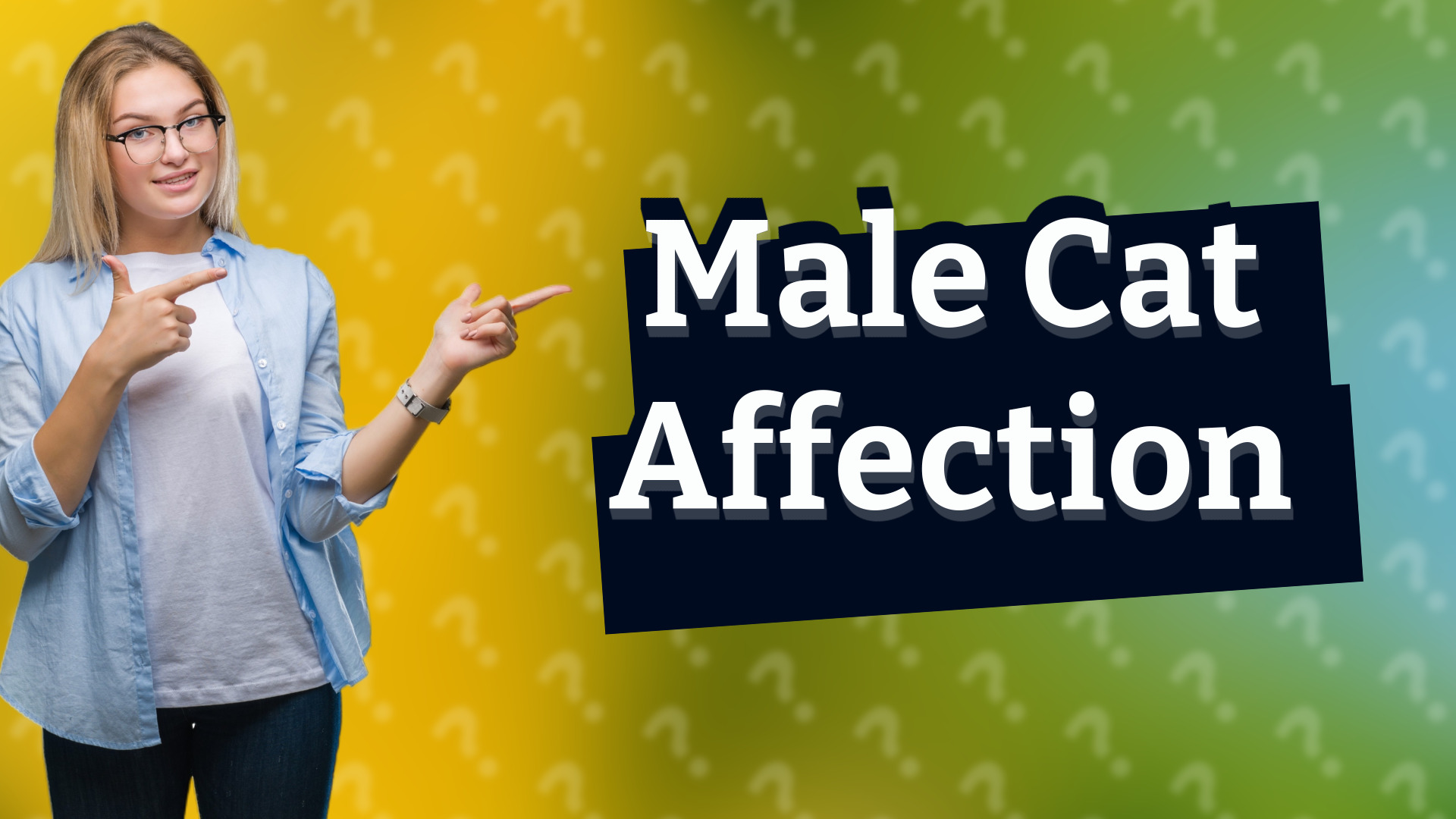 Male Cat Affection