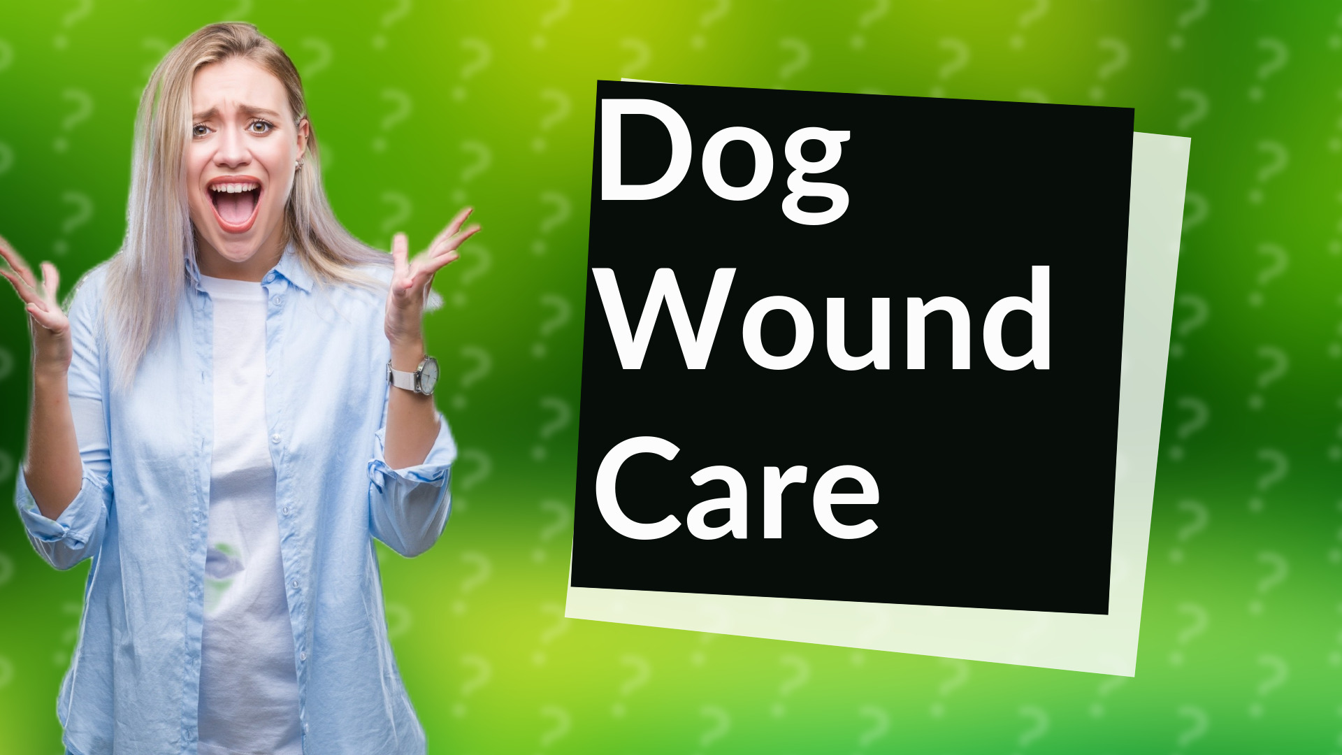 Dog Wound Care