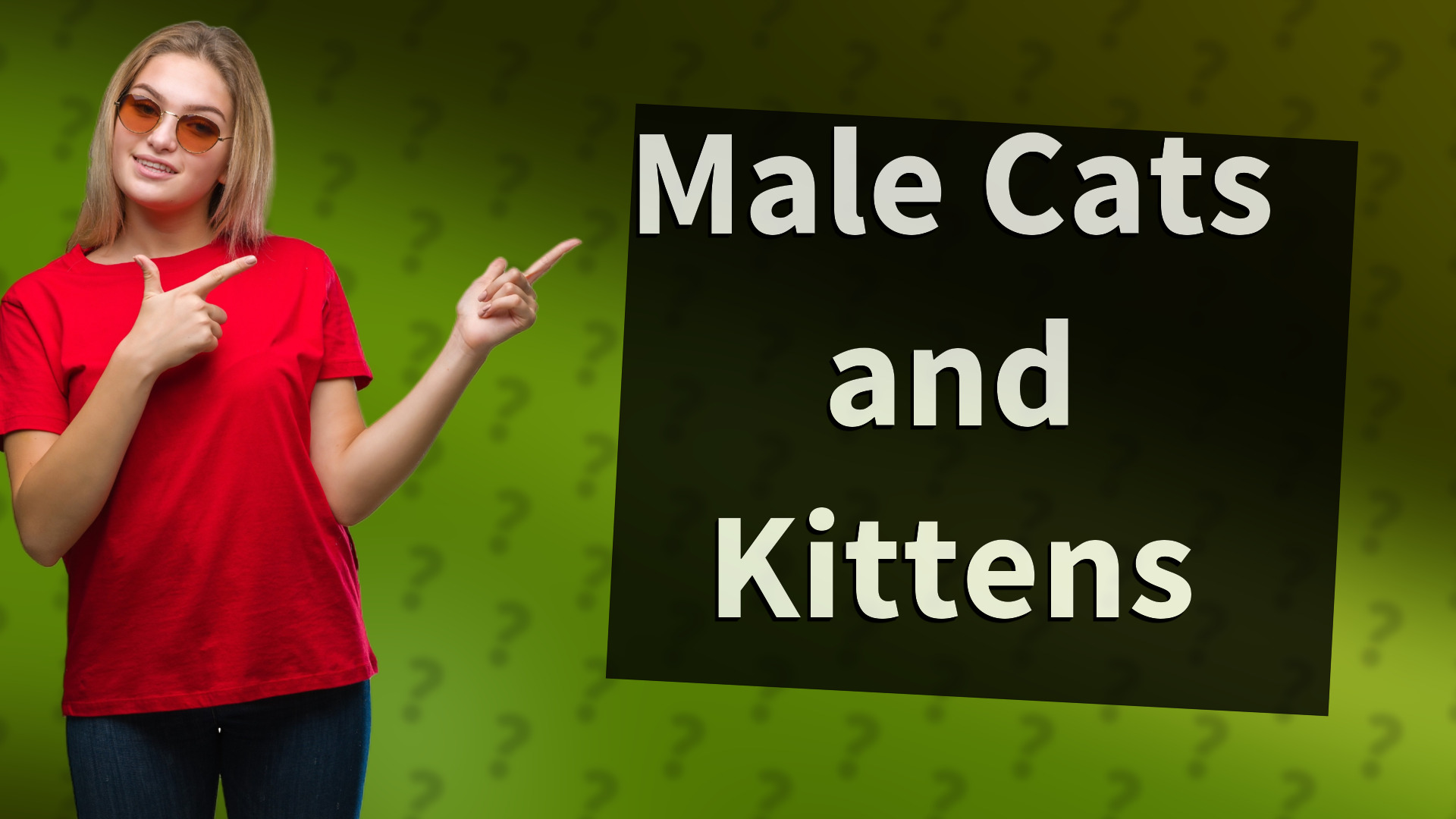 Male Cats and Kittens