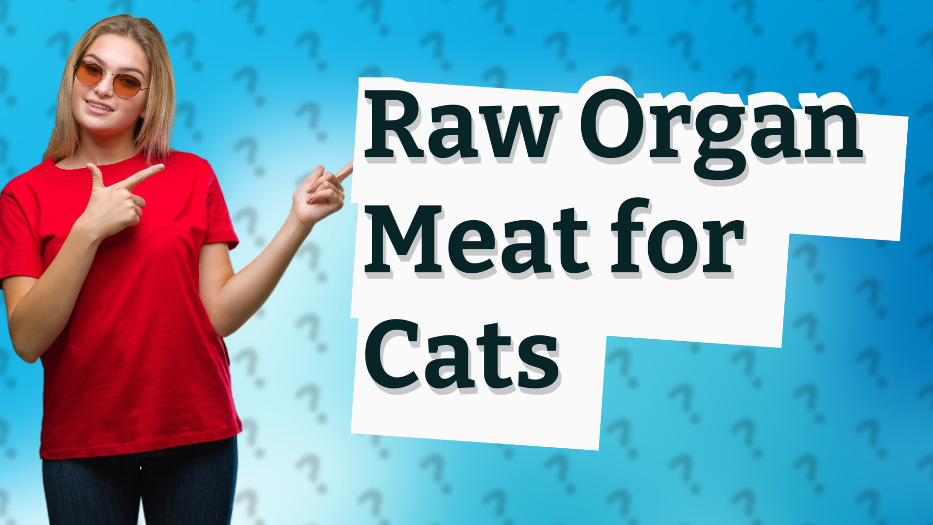 Raw Organ Meat for Cats