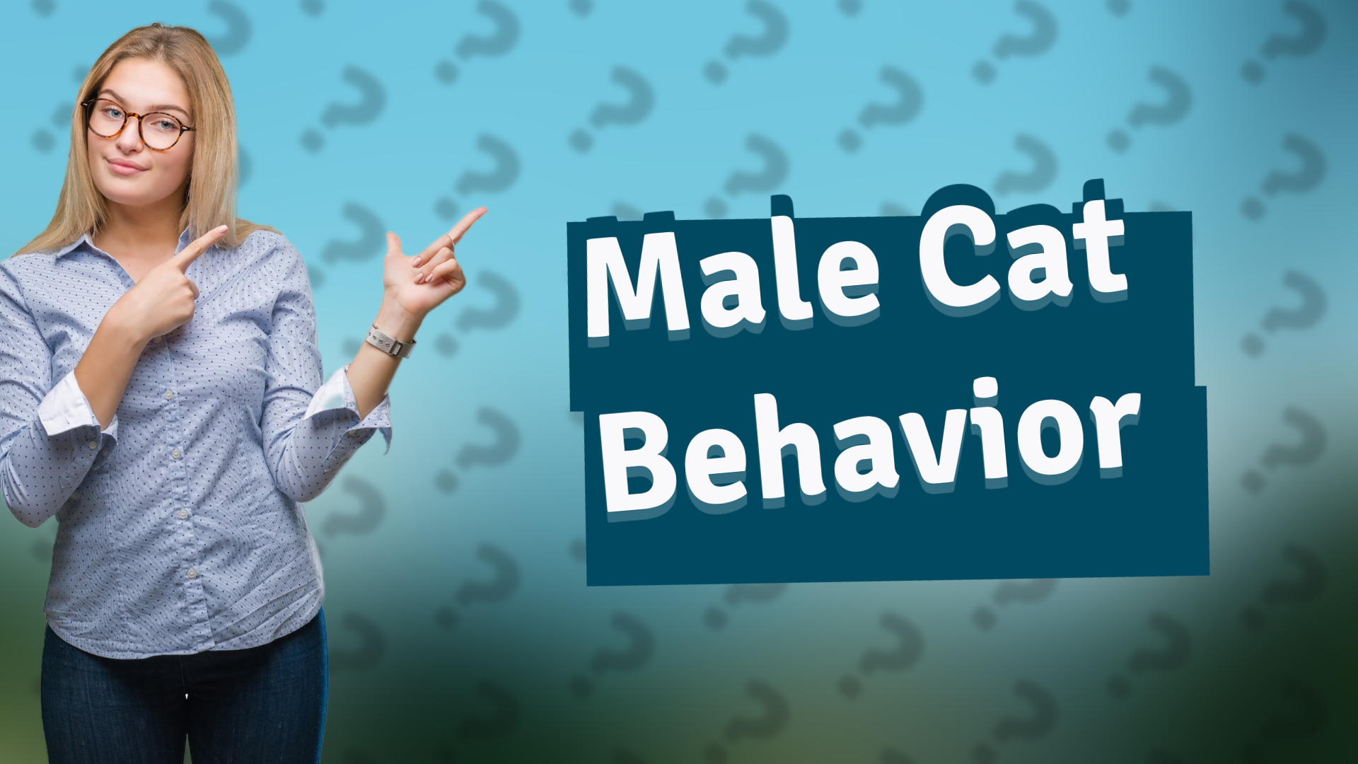 Male Cat Behavior