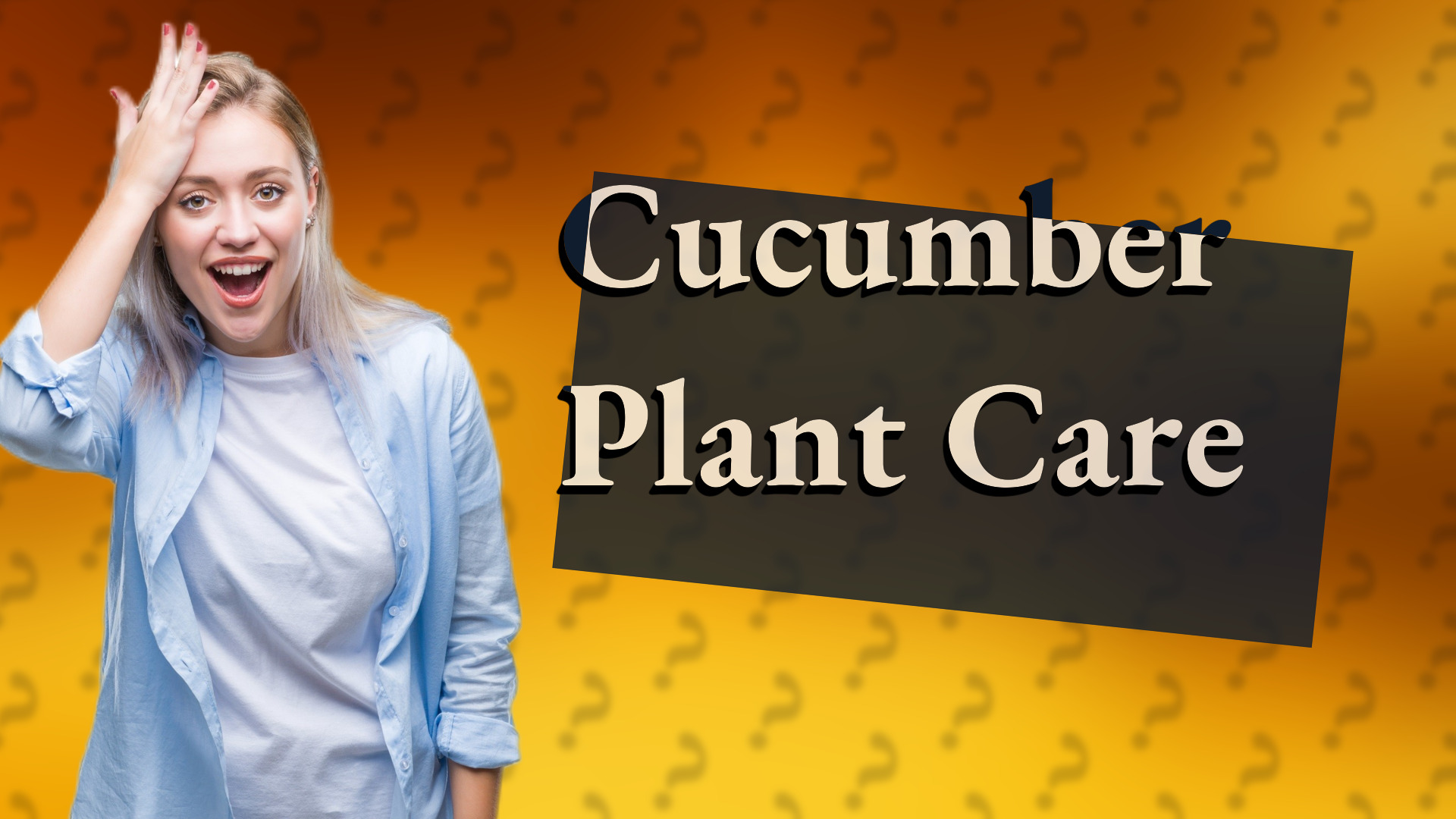 Cucumber Plant Care