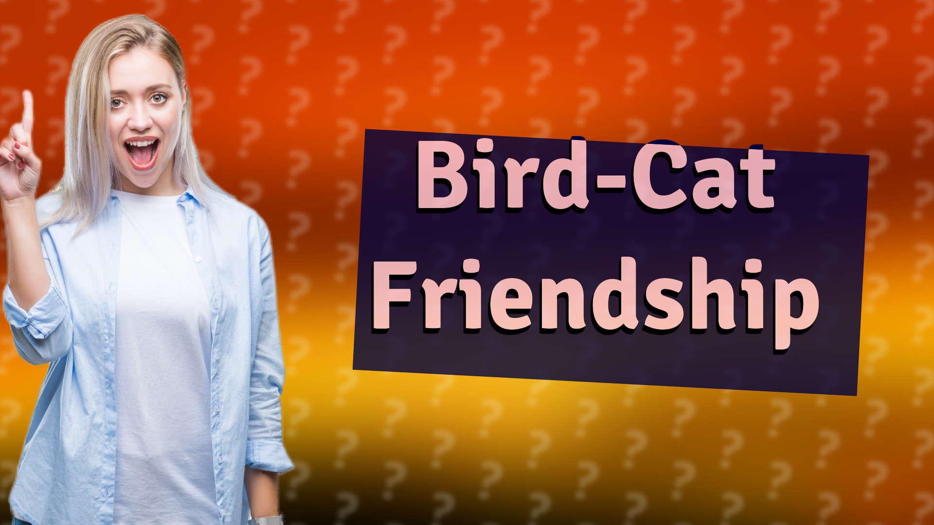 Bird-Cat Friendship