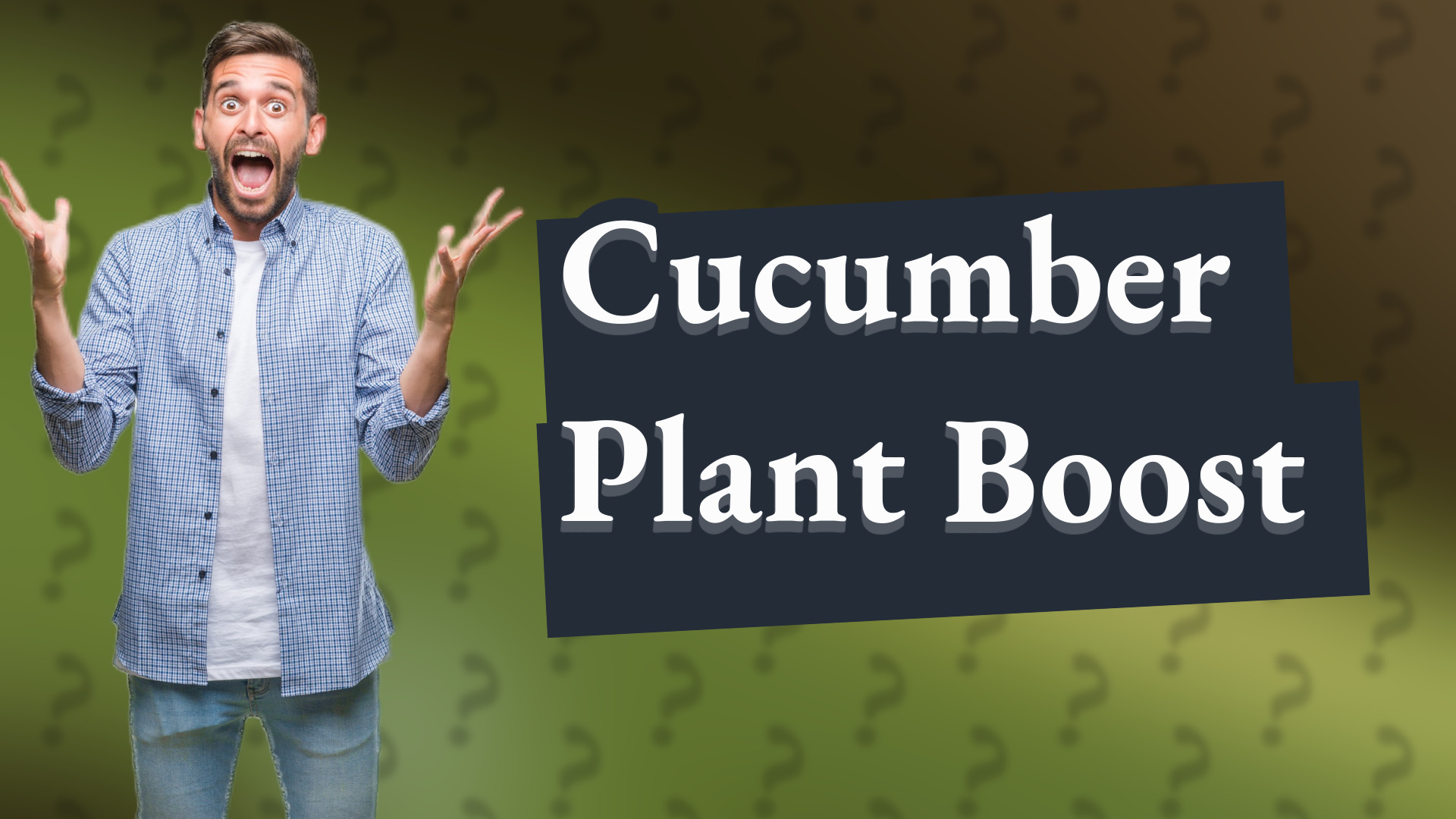 Cucumber Plant Boost