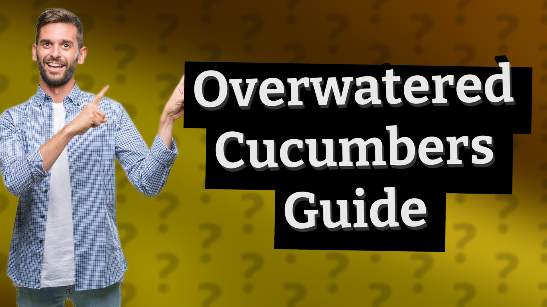 Overwatered Cucumbers Guide