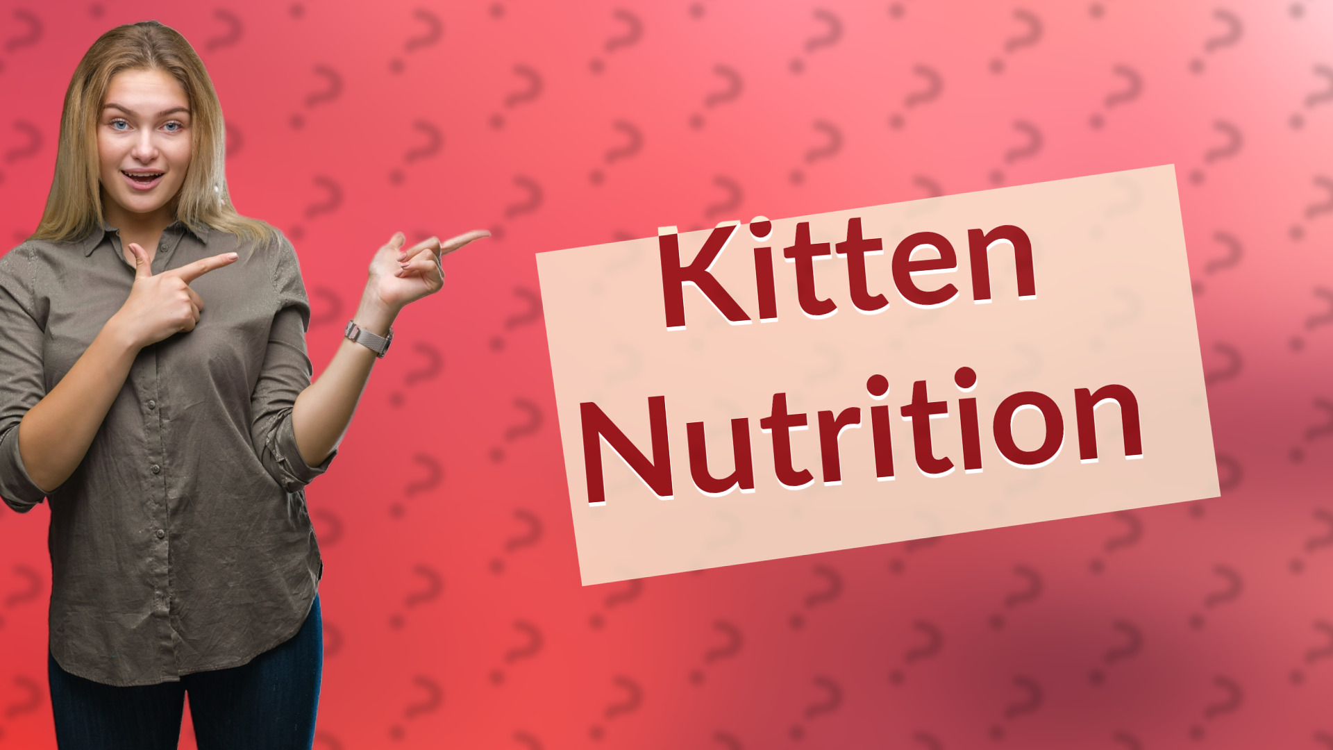 Kitten Nutrition