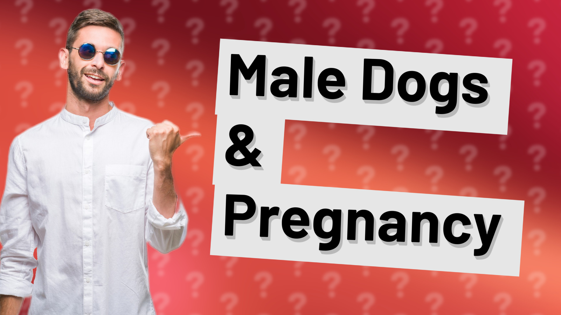 Male Dogs & Pregnancy