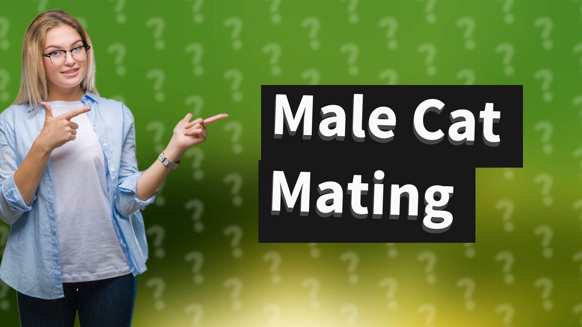 Male Cat Mating