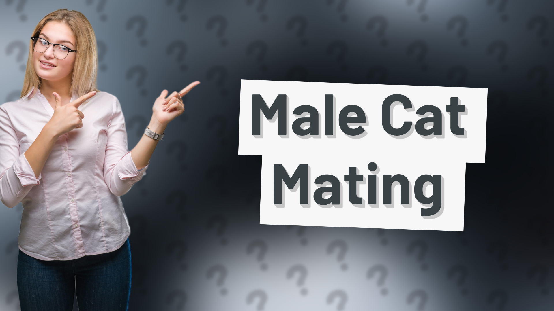 Male Cat Mating