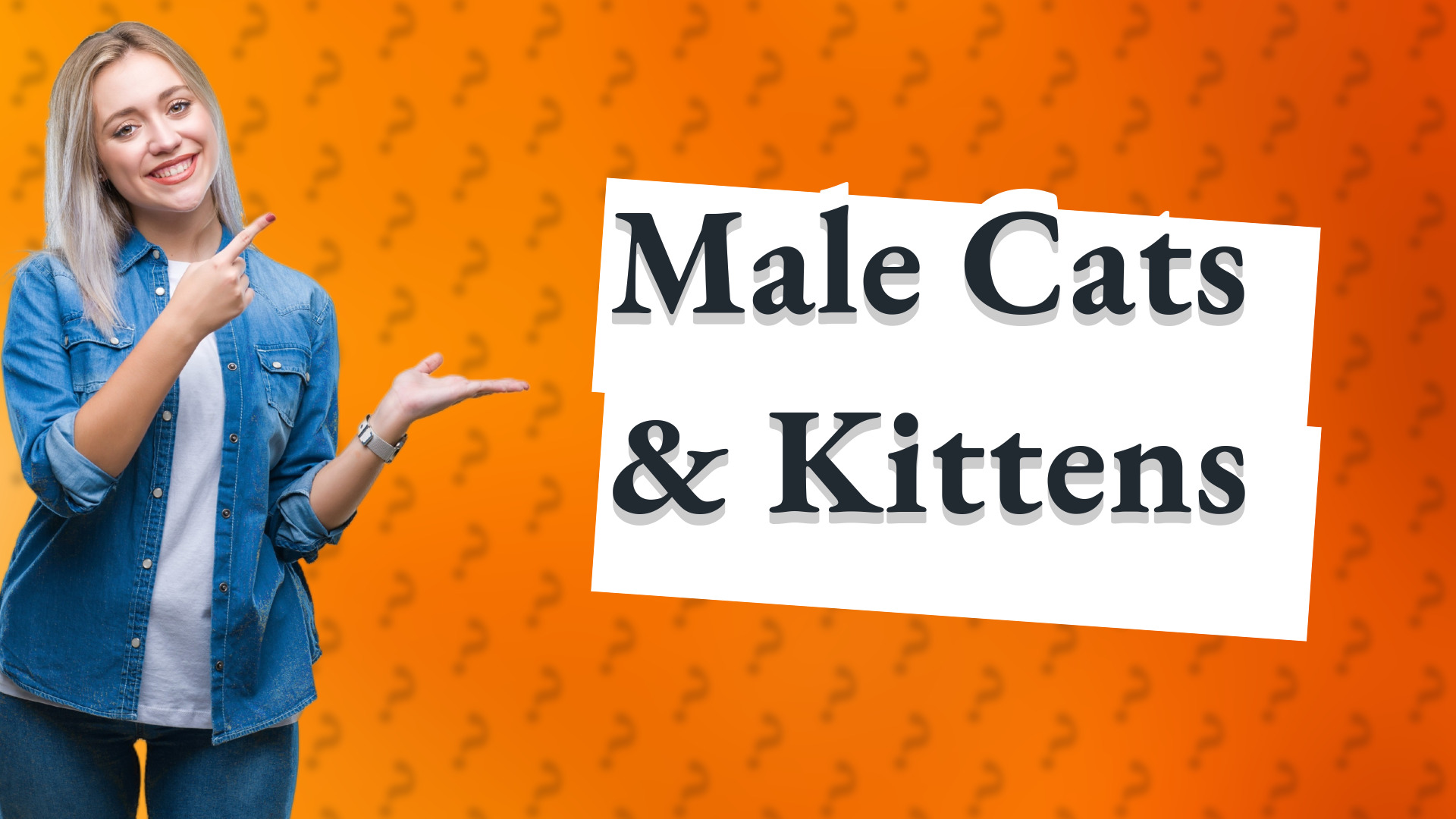 Male Cats & Kittens