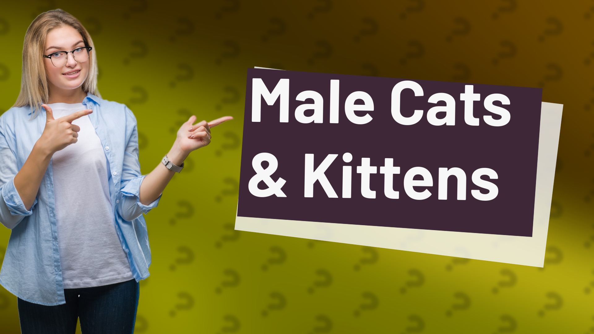 Male Cats & Kittens