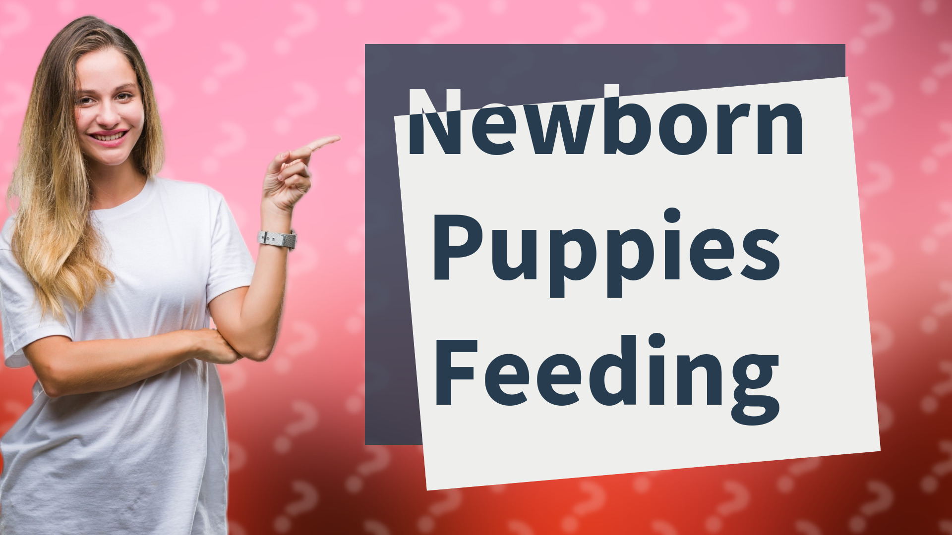 Newborn Puppies Feeding