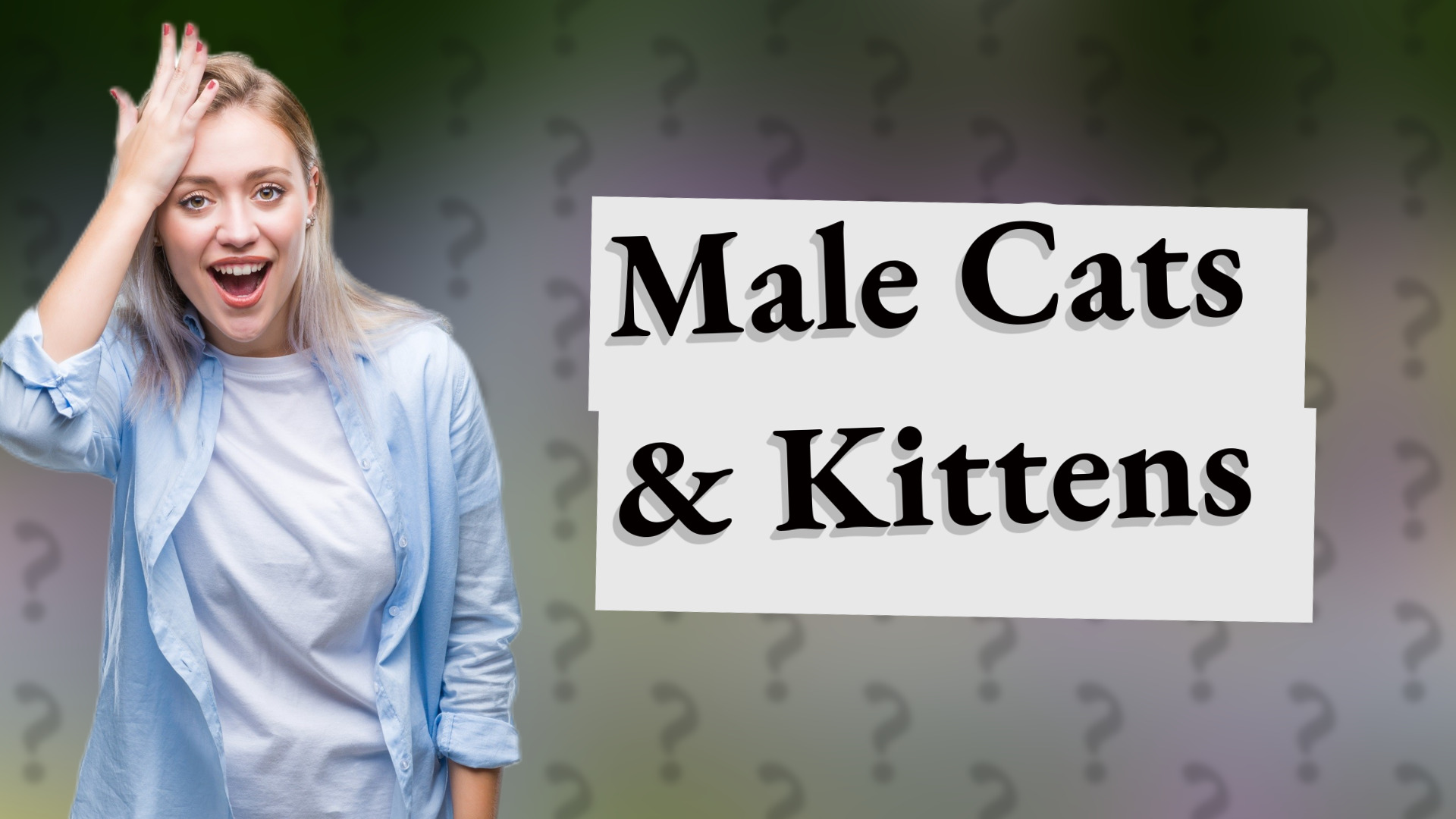 Male Cats & Kittens