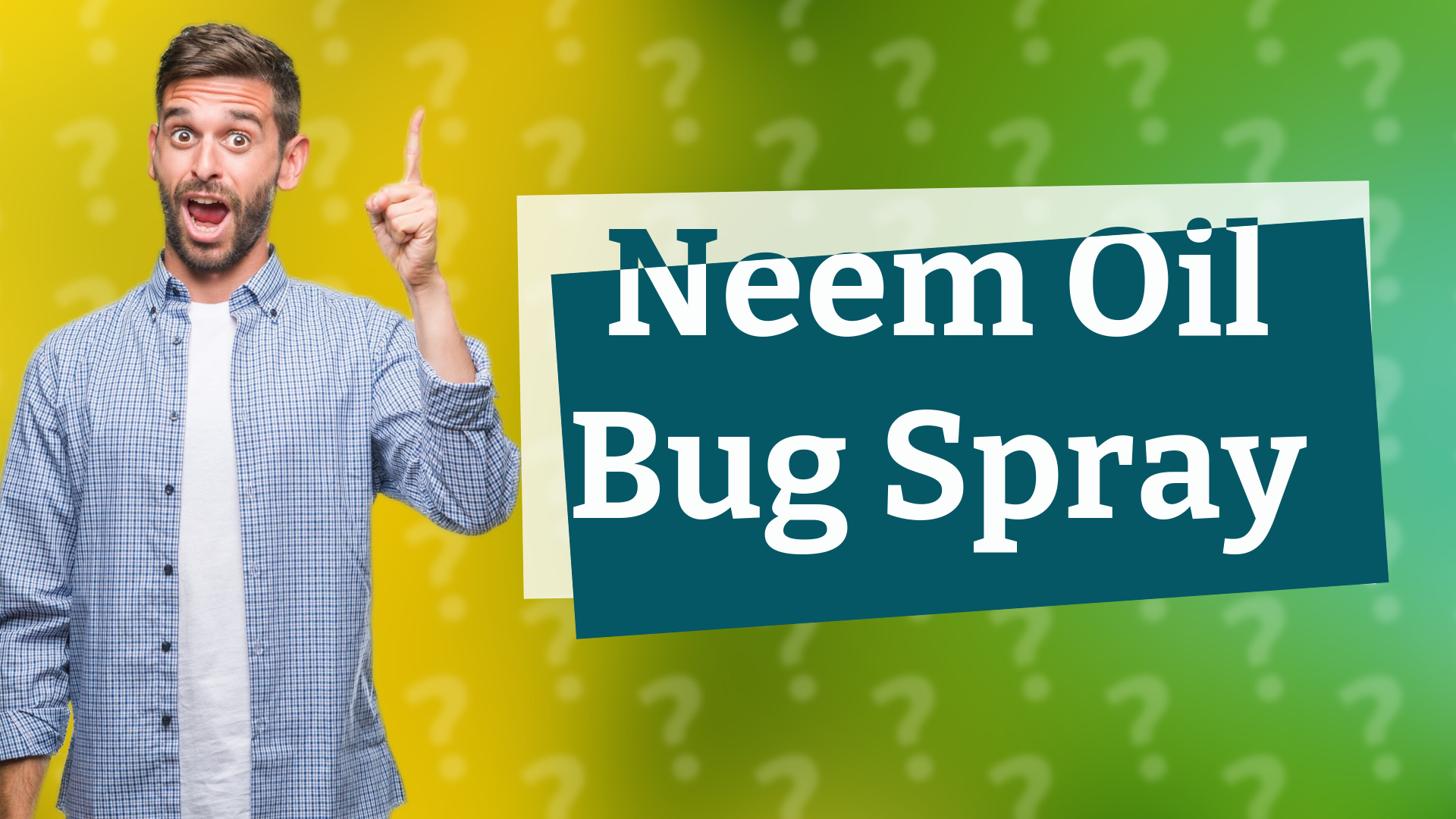 Neem Oil Bug Spray