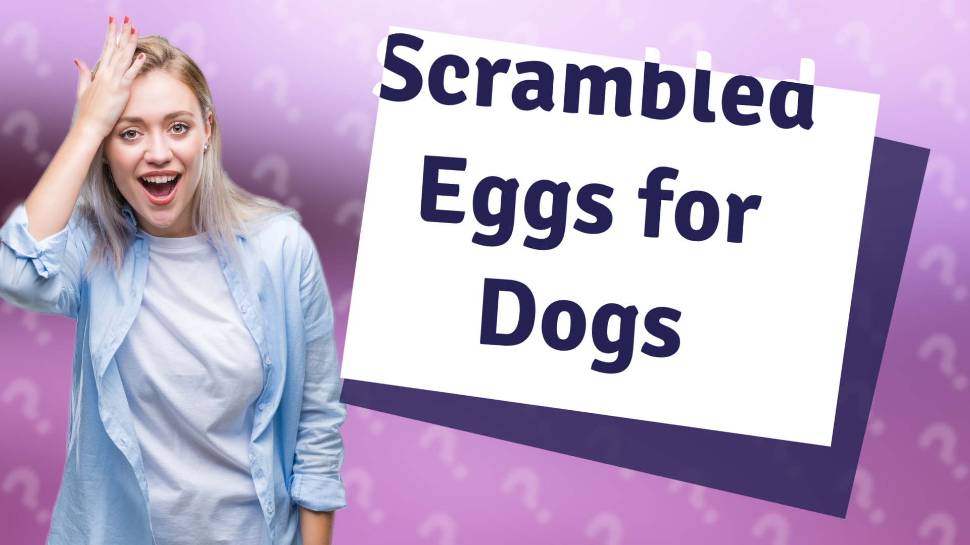 Scrambled Eggs for Dogs