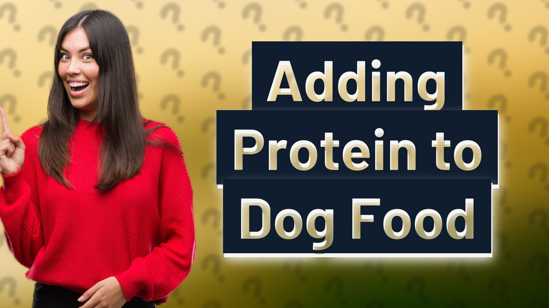 Adding Protein to Dog Food