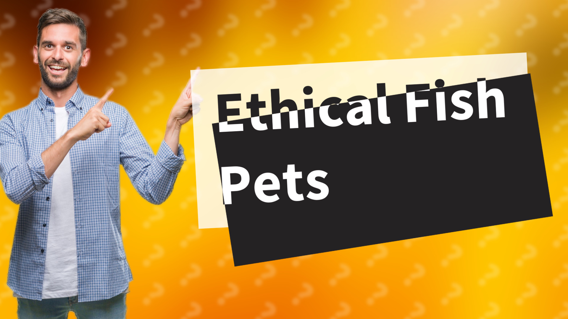 Ethical Fish Pets