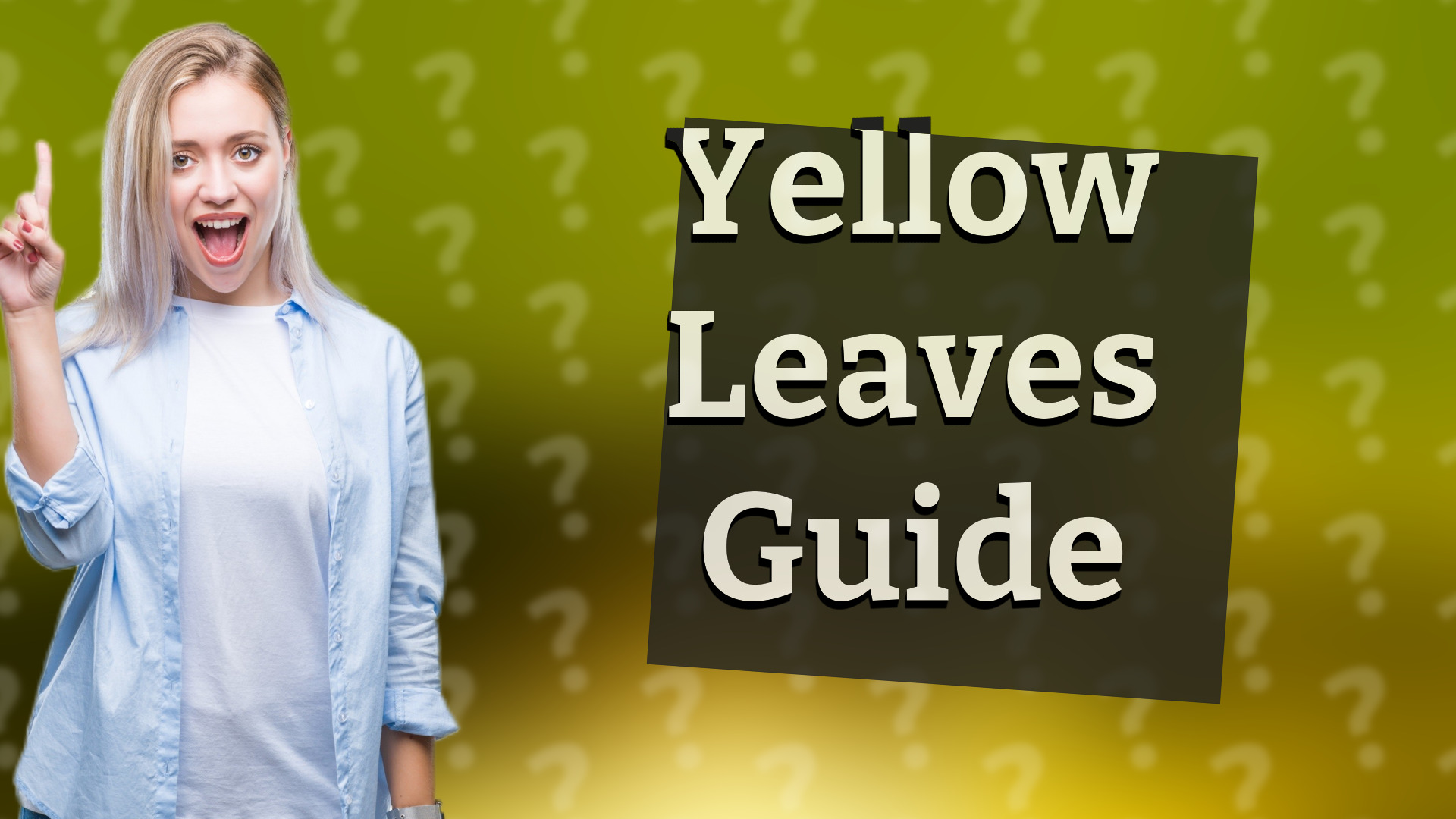 Yellow Leaves Guide