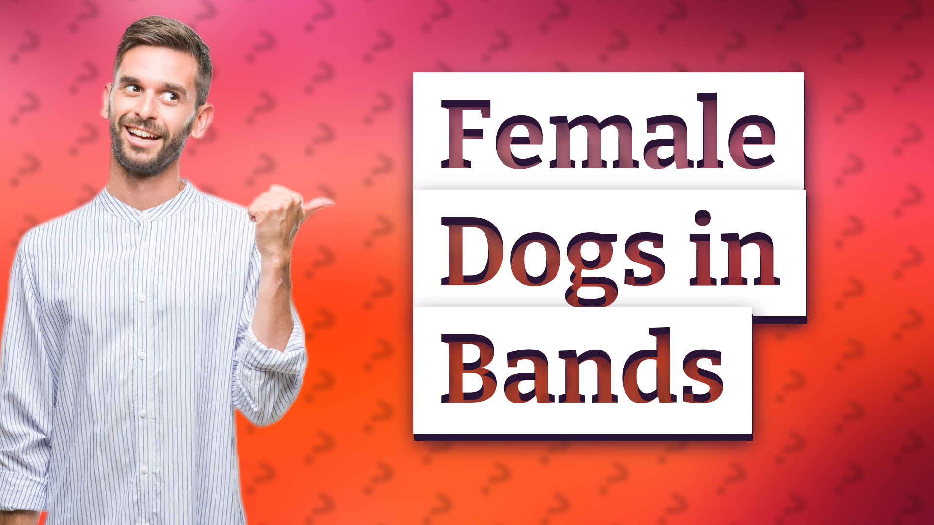Female Dogs in Bands
