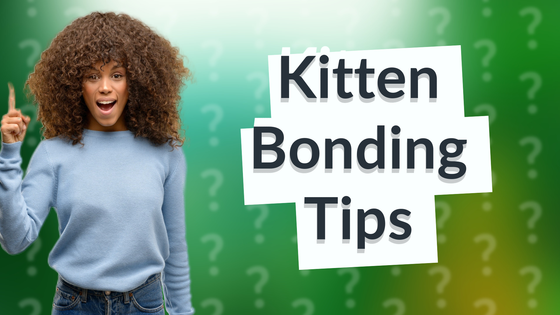 Kitten Bonding Tips