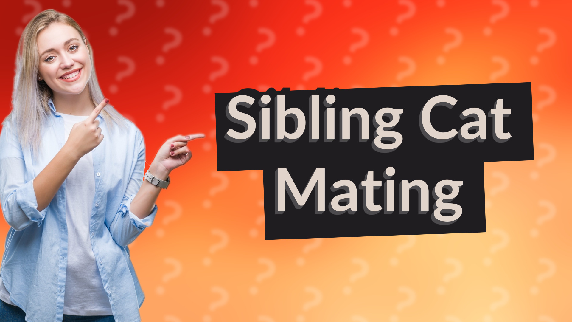 Sibling Cat Mating