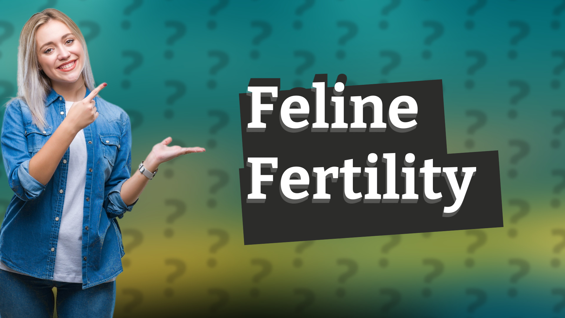 Feline Fertility