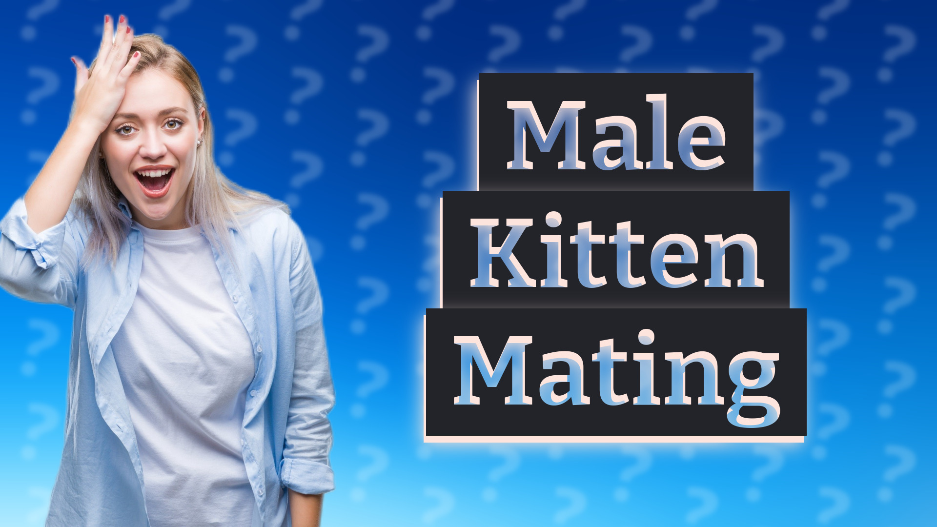 Male Kitten Mating
