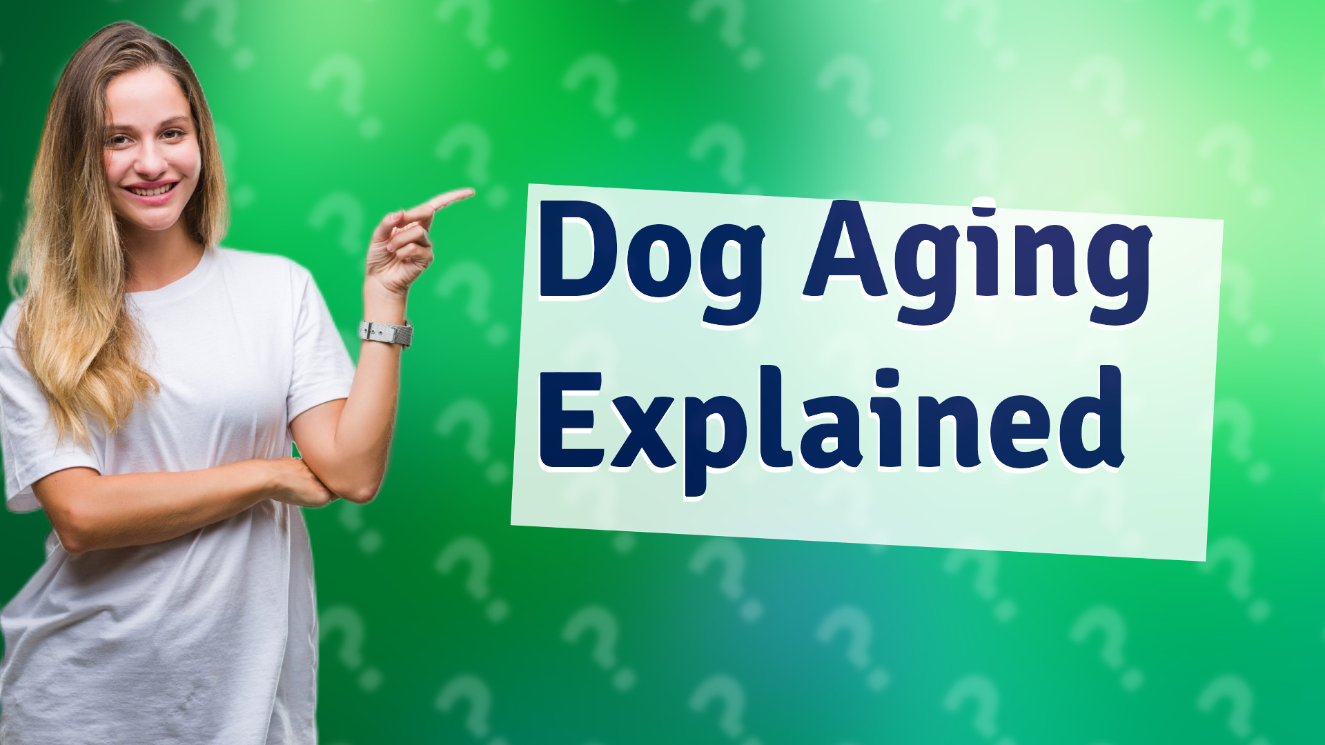 Dog Aging Explained