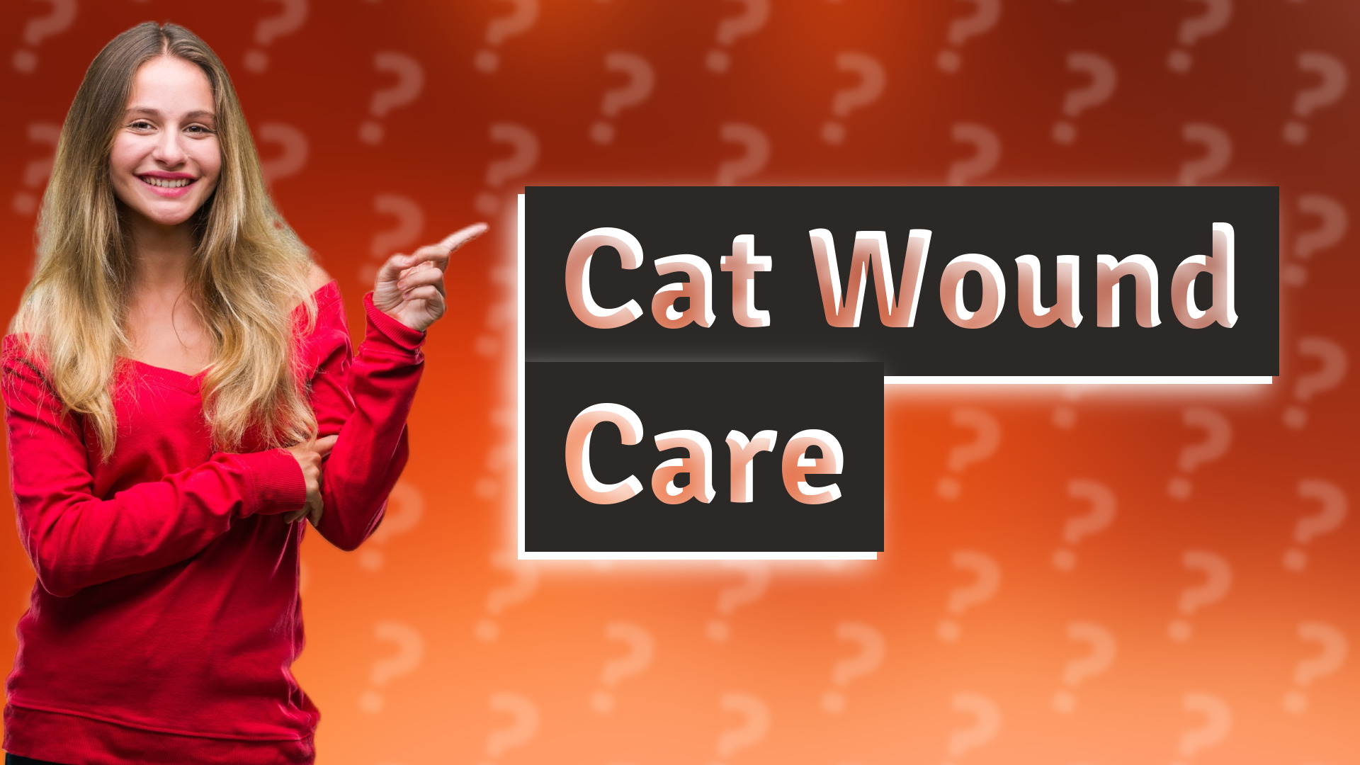 Cat Wound Care