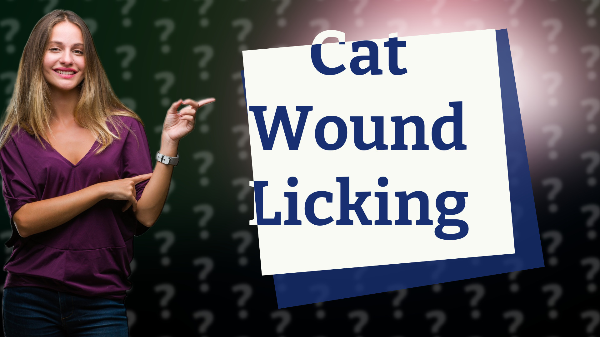 Cat Wound Licking