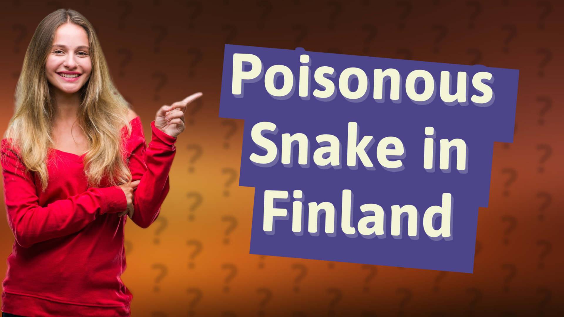 Poisonous Snake in Finland