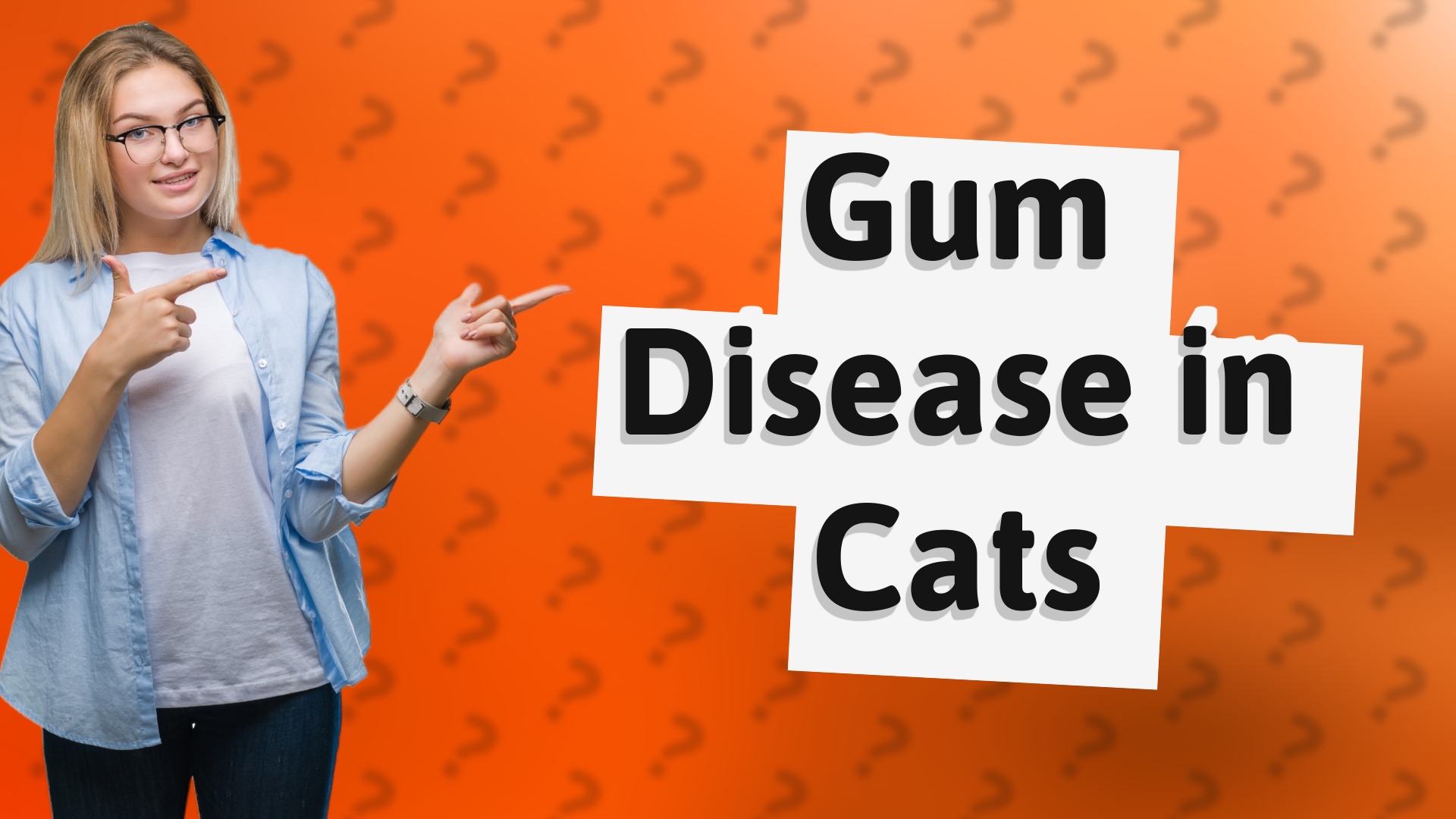 Gum Disease in Cats