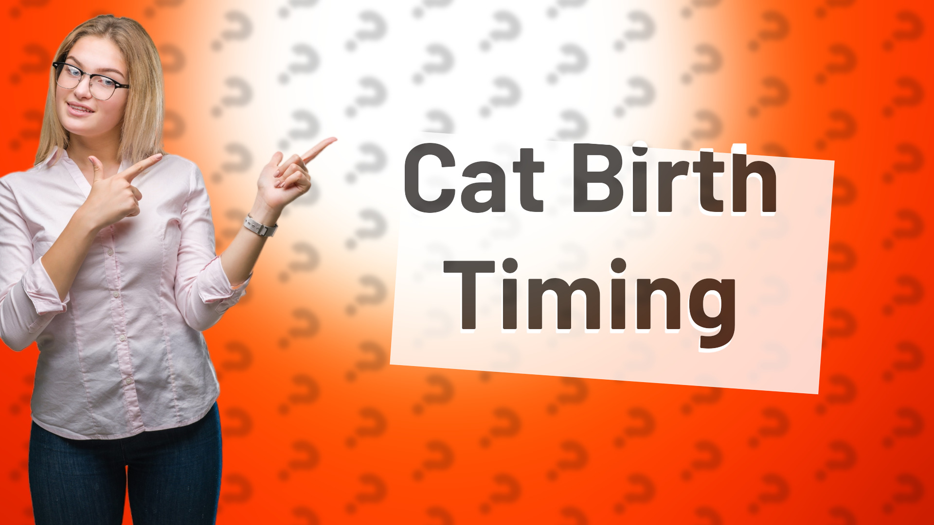 Cat Birth Timing
