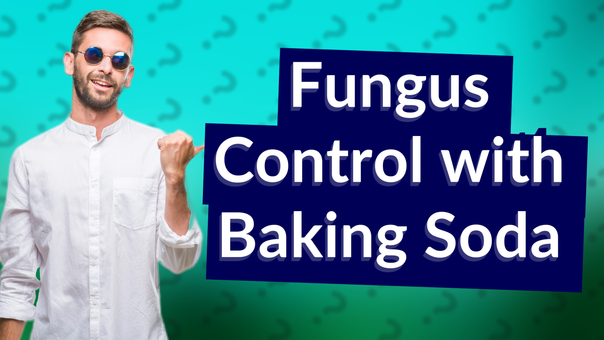 Fungus Control with Baking Soda