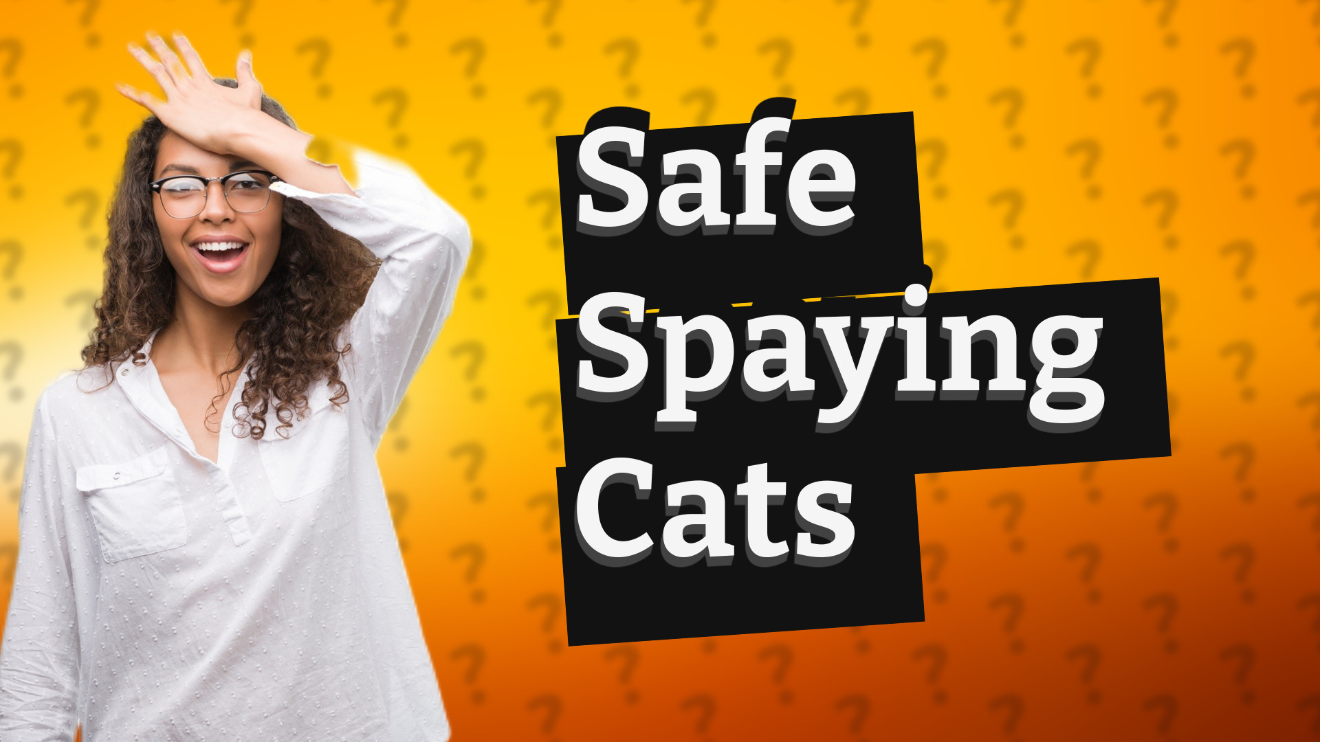 Safe Spaying Cats