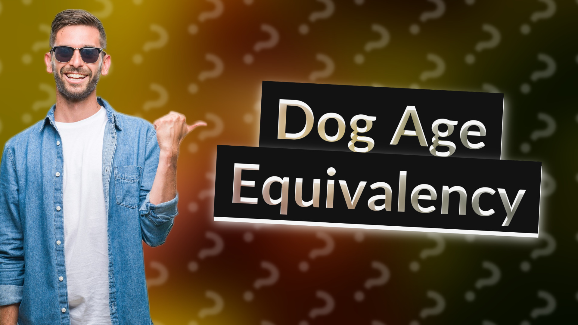 Dog Age Equivalency