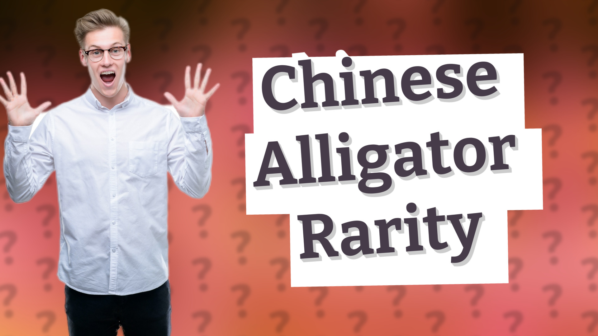 Chinese Alligator Rarity