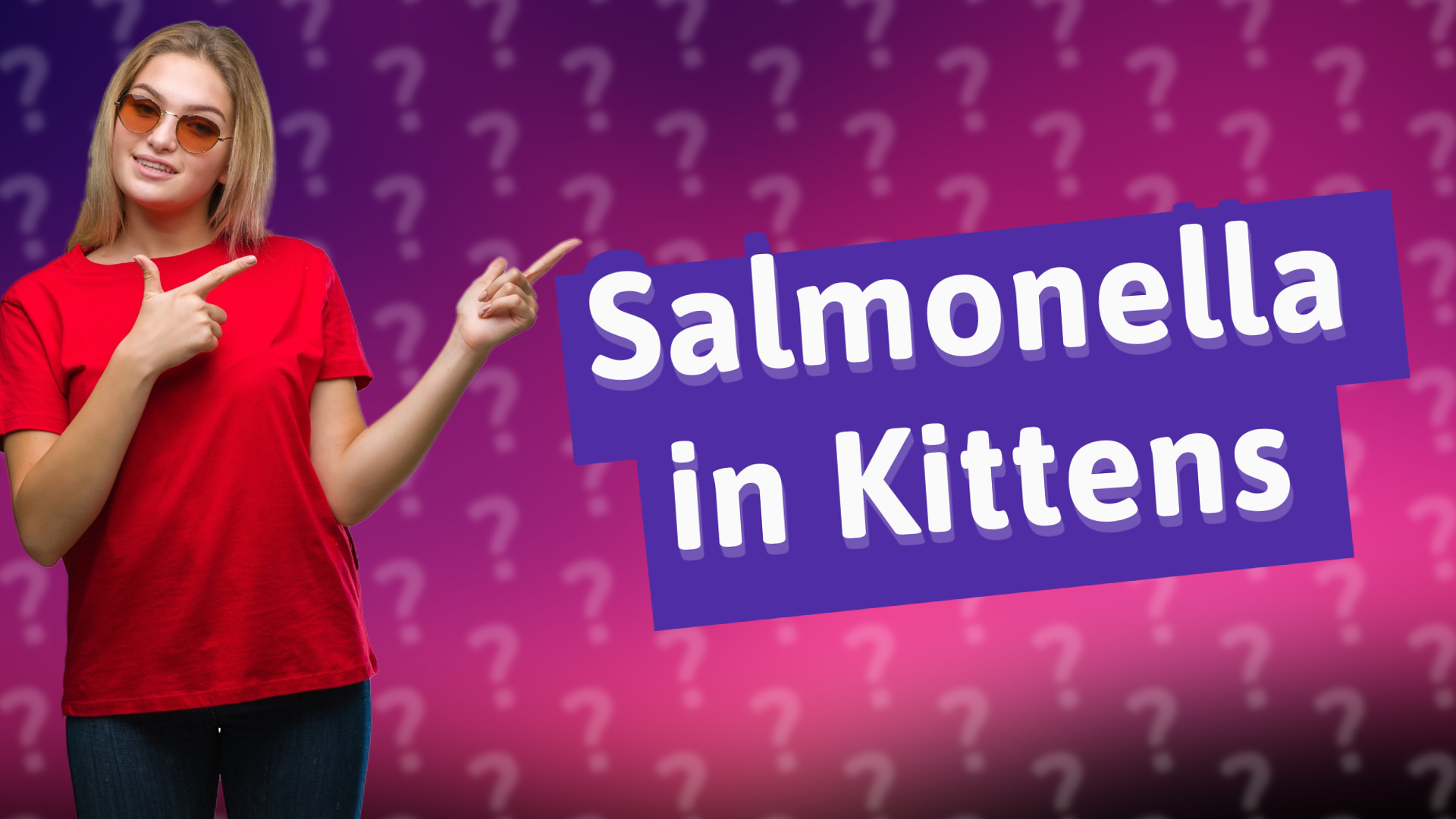 Salmonella in Kittens