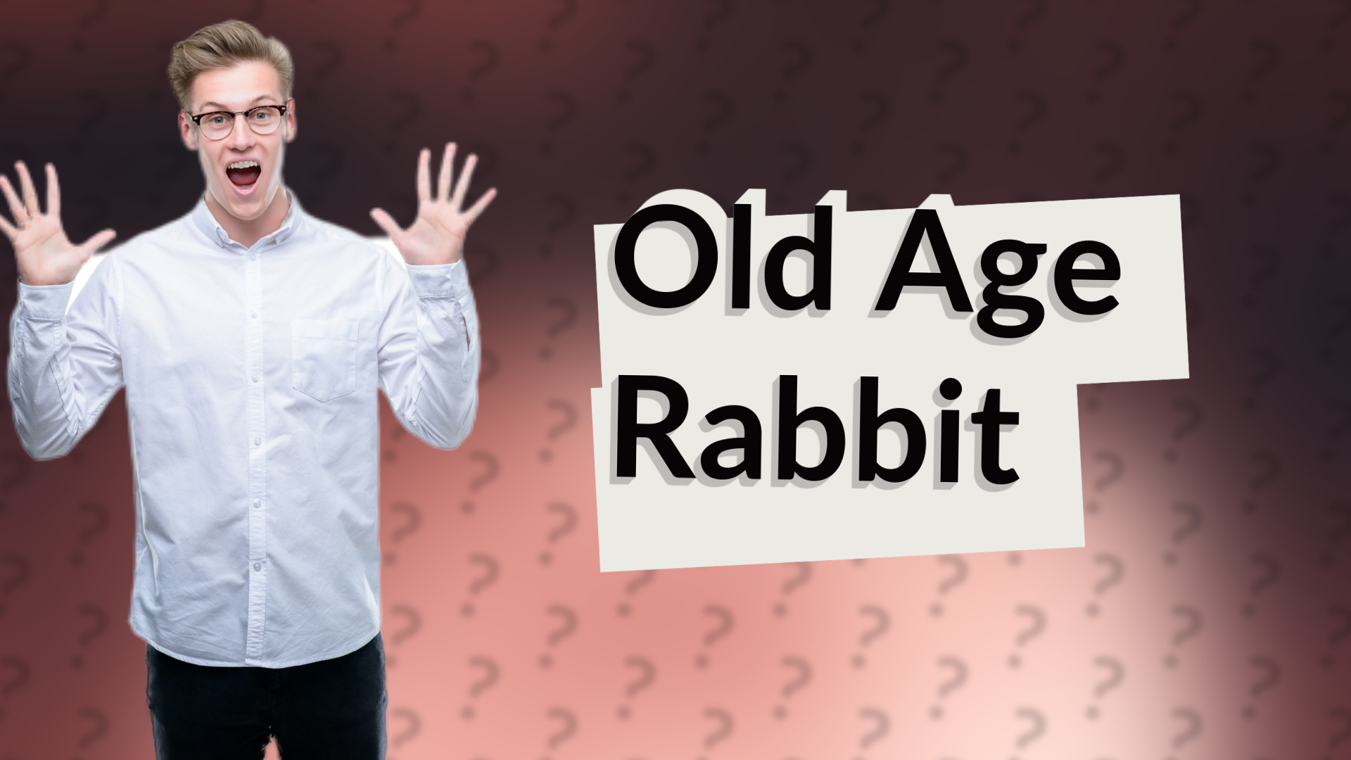 Old Age Rabbit