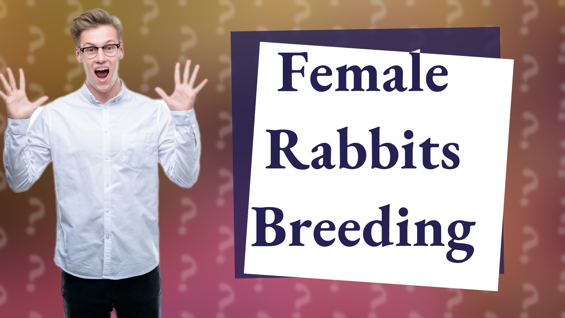 Female Rabbits Breeding