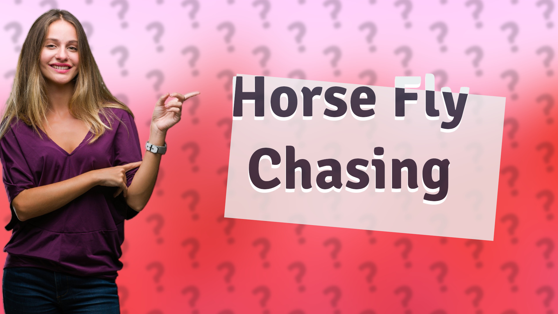 Horse Fly Chasing