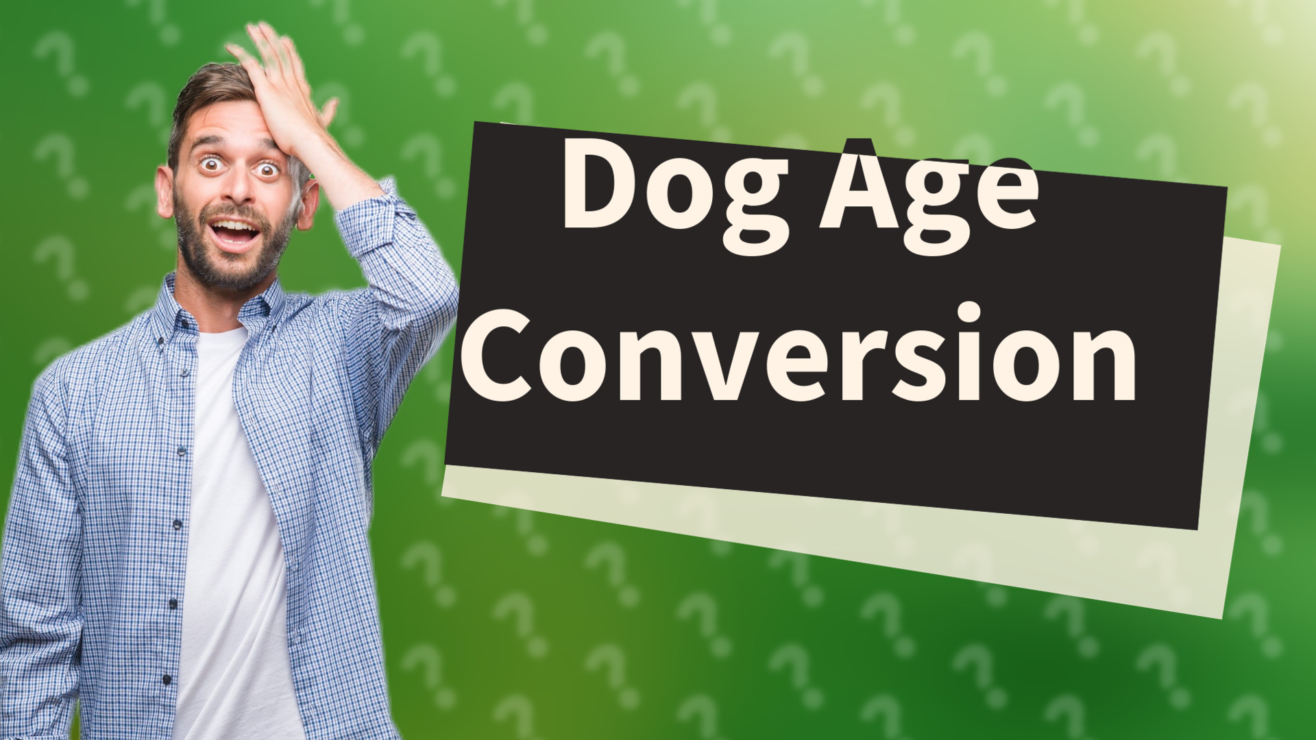 Dog Age Conversion